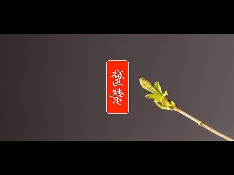 螽斯蟄蟄 意思